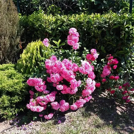 Sozopoli Hills Appartement *