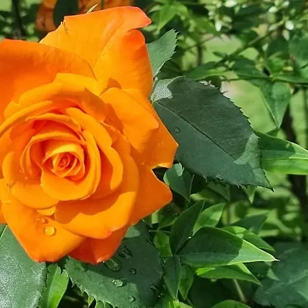 Appartement Sozopoli Hills Sozopol