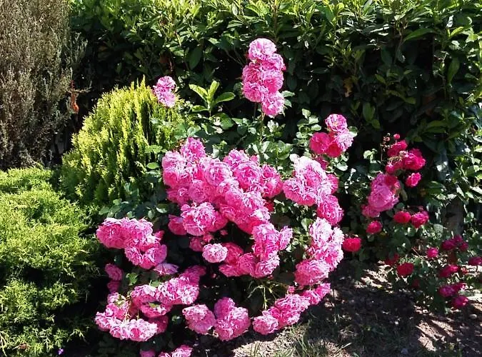 Sozopoli Hills Appartamento *