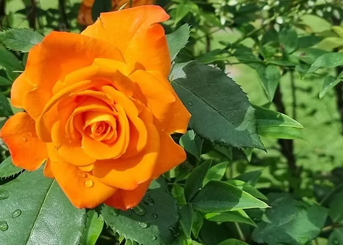 Appartamento Sozopoli Hills Sozopol