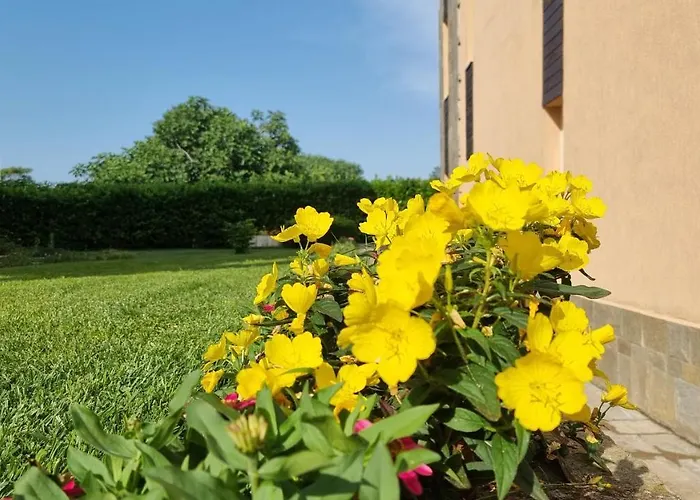 Sozopoli Hills Διαμέρισμα *